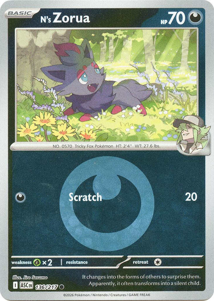 pokemon card zorua Zorua | XY
