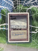 Tundra (Signed by Jesper Myrfors) [Unlimited Edition]