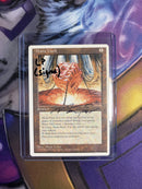 Mana Vault (Signed by Mark Tedin) [Fourth Edition]