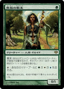 Noble Hierarch (Japanese) [Conflux]