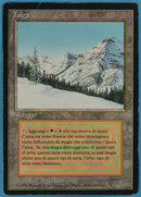 Taiga (Italian) [Foreign Black Border Revised]