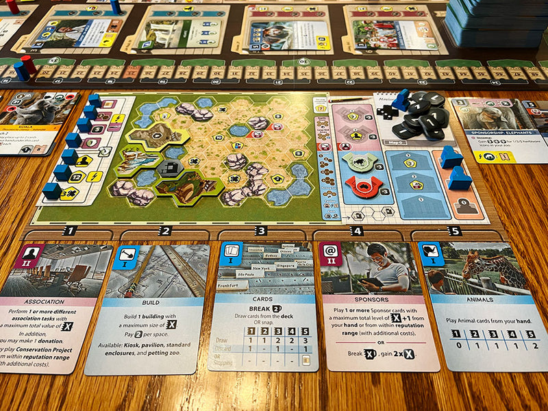 a typical (early) game of Ark Nova