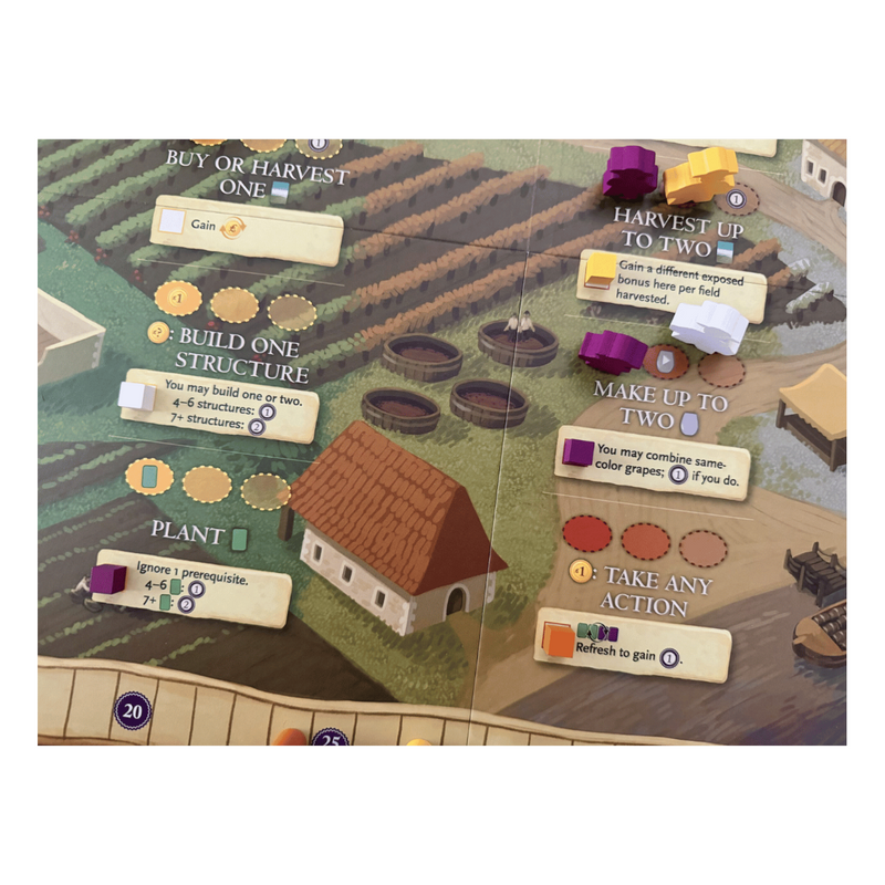 Viticulture: Bordeaux