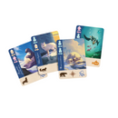 Borealis: Arctic Expeditions