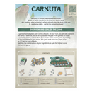 Carnuta