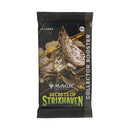 Magic the Gathering: Secrets of Strixhaven: Codex Bundle