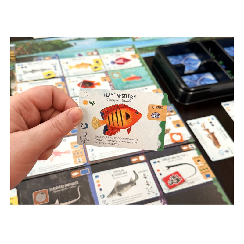 Finspan: Sharks & Reefs