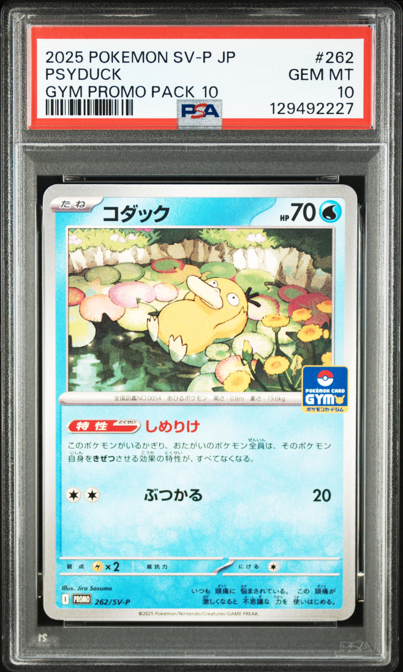PSA GEM MT 10 Psyduck(262/SV-P) [Japanese Sv-P Promo] - 129492227