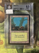 BGS 8.5 Forest v1 C [Alpha] - 11534628