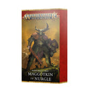 Warhammer Age of Sigmar: Maggotkin of Nurgle Warscrolls