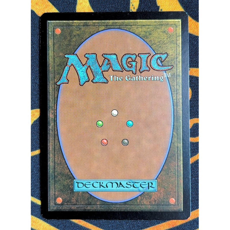 Misty Rainforest 1 [Zendikar]