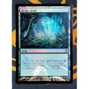 Misty Rainforest 2 [Zendikar]