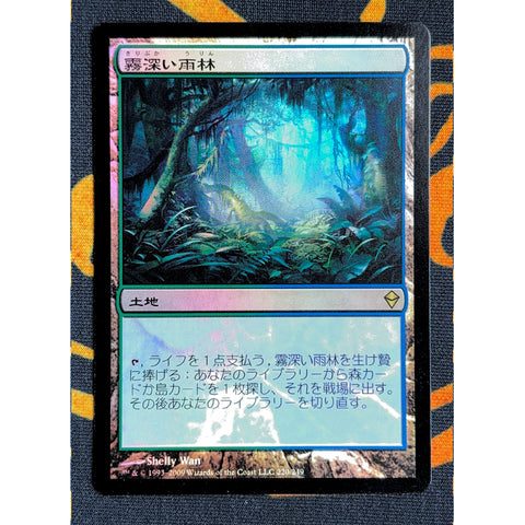 Misty Rainforest 2 [Zendikar]