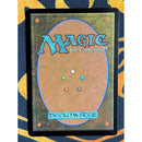 Misty Rainforest 3 [Zendikar]