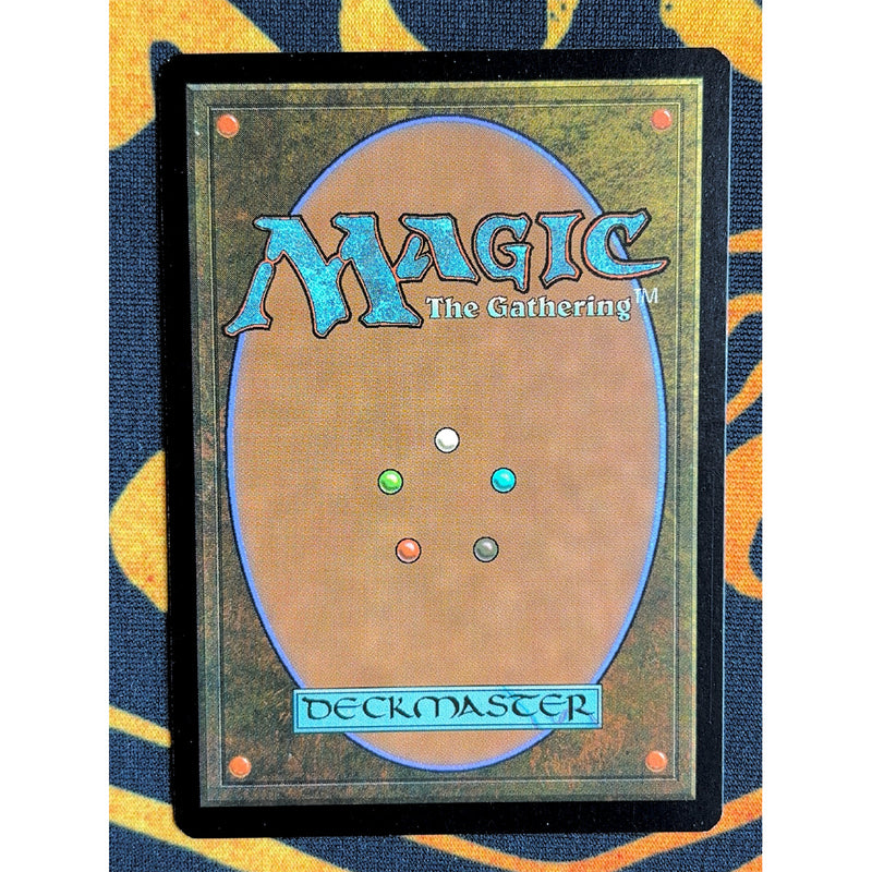 Misty Rainforest 3 [Zendikar]