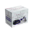 Senjutsu: Battle for Japan: Ghost in the Night