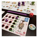 Tokaido Duo