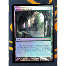Verdant Catacombs 1 [Zendikar]