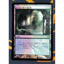 Verdant Catacombs 2 [Zendikar]