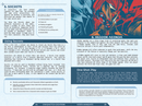 Vesta Mandate