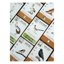 Wingspan Pocket