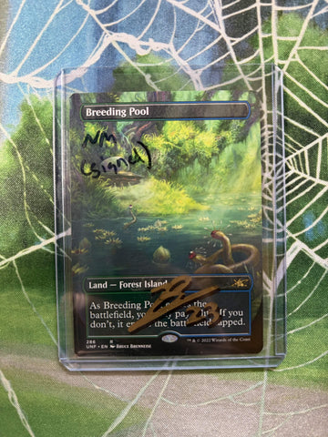 Breeding Pool (Borderless) (Signed by Bruce Brenneise) [Unfinity]