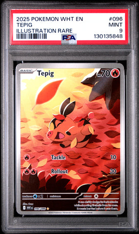 PSA MINT 9 Tepig (096/086) [Wht En-White Flare] - 130135848