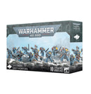 Warhammer 40000: Space Wolves: Grey Hunters