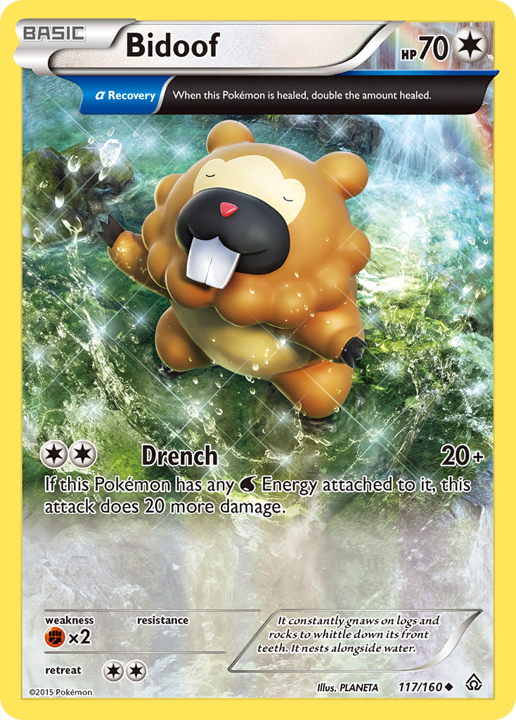 Bidoof (117/160) [XY: Primal Clash]